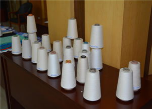 組圖 全國(guó)針織用紗線產(chǎn)品質(zhì)量提升活動(dòng)總結(jié)會(huì)在魏橋集團(tuán)召開(kāi)